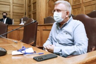 proanakritiki epitropi dimos berykios