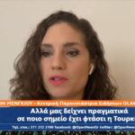 ΤΟΥΡΚΟΙ ΔΗΜΟΣΙΟΓΡΑΦΟΙ