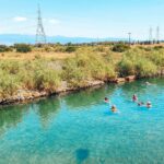 ψωρονερια δημος λαμιεων 11 1536x877 1