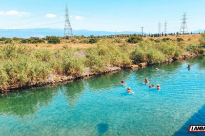 ψωρονερια δημος λαμιεων 11 1536x877 1