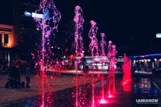 DSC01131 01