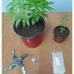 FOTO 1 11φσδφδσ