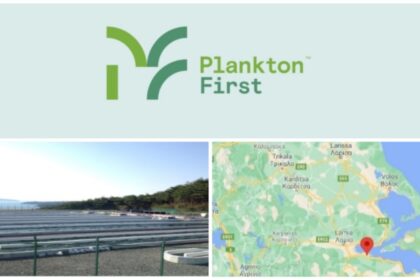 inCollage 20210603 095136694