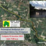 ΟΜΦΙΔΑΣ 7.00 ΜΜ scaled