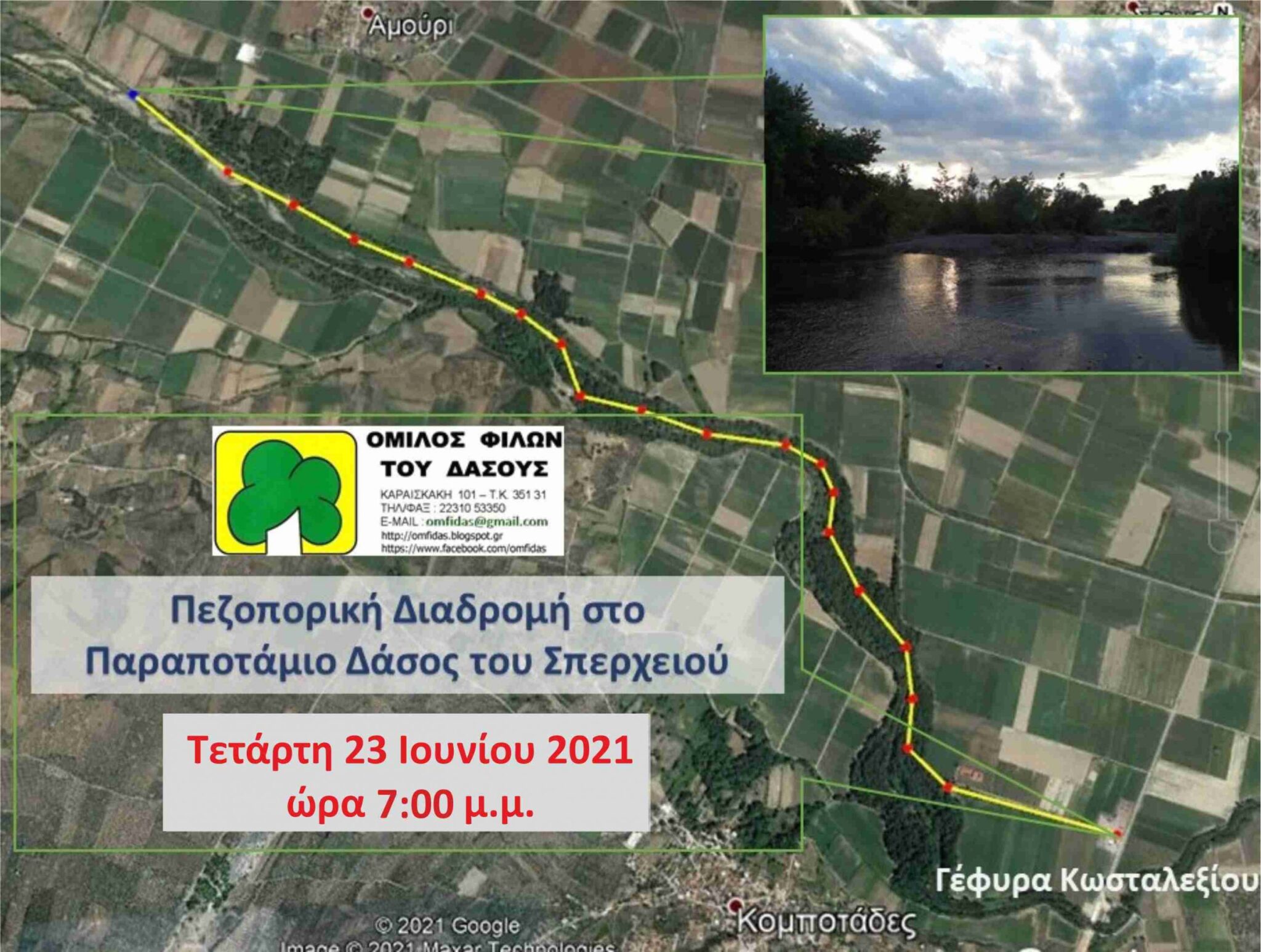 ΟΜΦΙΔΑΣ 7.00 ΜΜ scaled