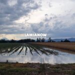 καλιεργιεσ