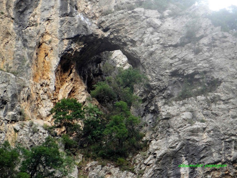 1111 Αντιγραφή