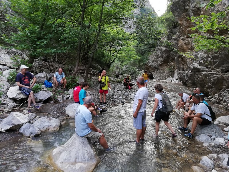 12 2 Αντιγραφή