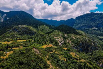 218967233 505591094004376 95889111104425866 n