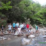 6 10 Αντιγραφή