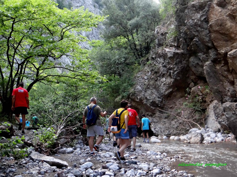 6 14 Αντιγραφή