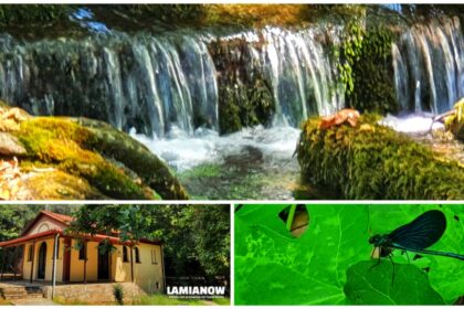 inCollage 20210711 105046471 01