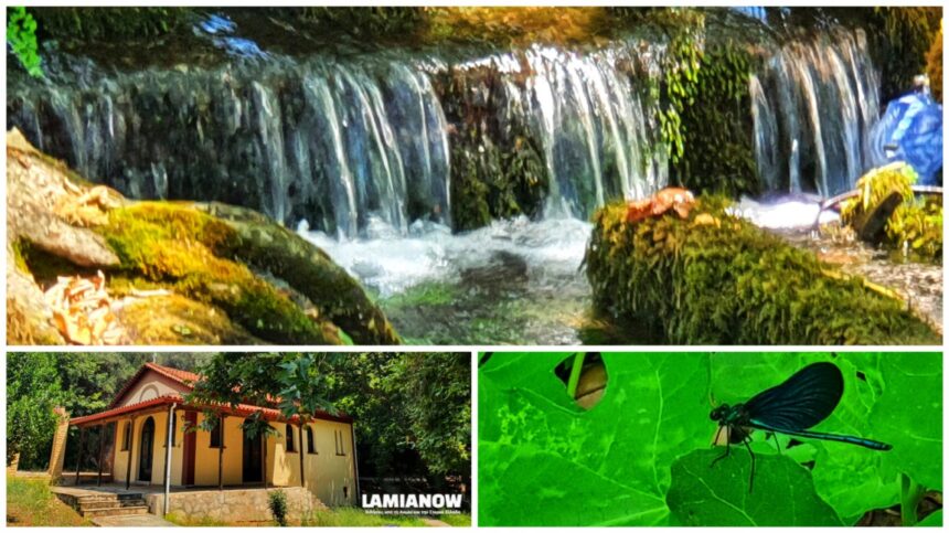 inCollage 20210711 105046471 01