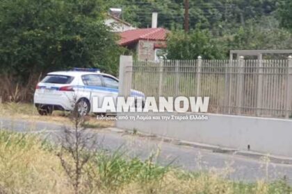 krikelo astynomia lamianow