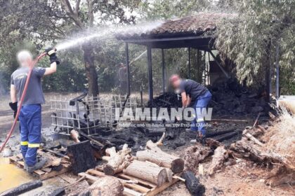 πυρκαγοια11111