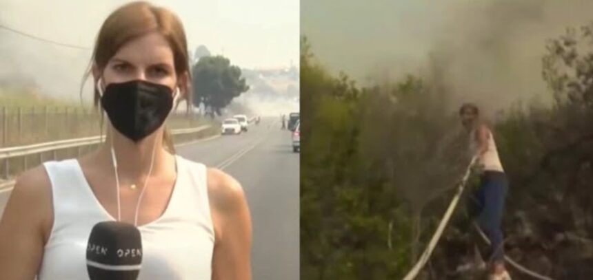 bbc12393a75549d9bc526b493cbf922e