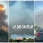 inCollage 20210803 180343777 scaled