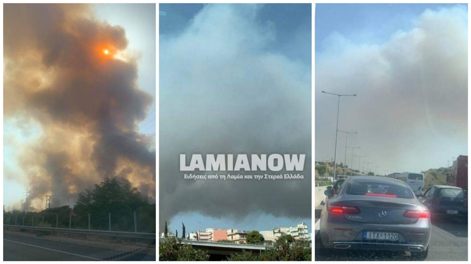 inCollage 20210803 180343777 scaled