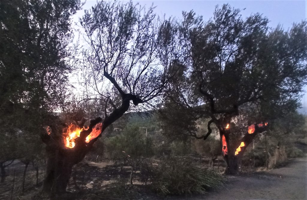 ΠΥΡΚΑΓΙΑ ΣΤΟ ΒΕΛΕΝΙΚΟ φωτο 15 1024x669 1