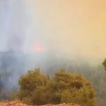 ΦΟΤΡΙΑΜΕΣΟ