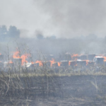 κυψελεςφωτια