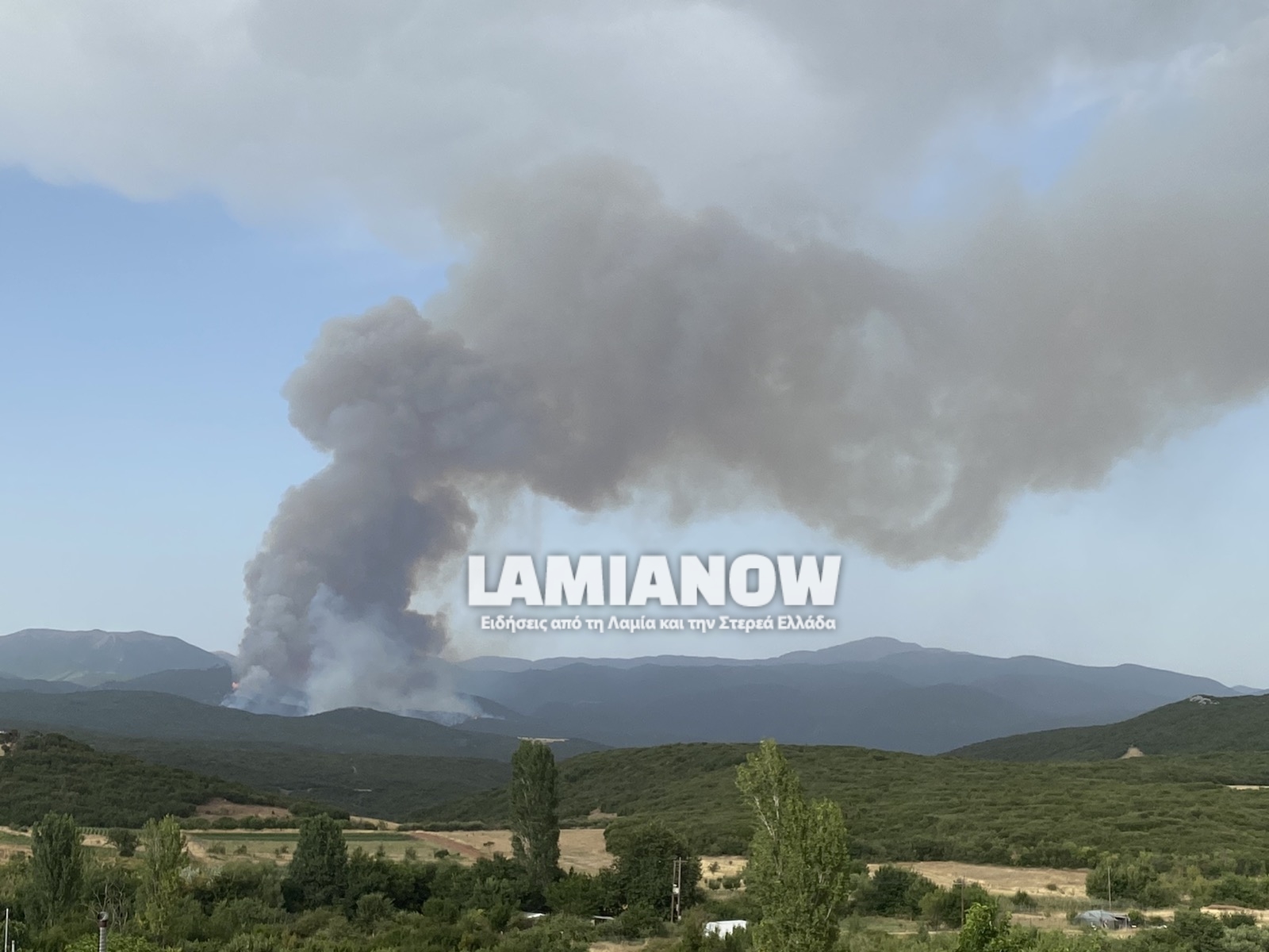 λογ1