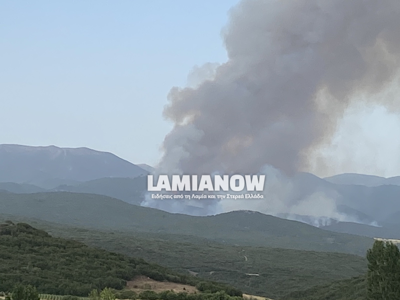 λογ11