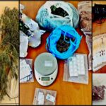 ναρκοιτιακ1