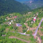 νεοχοριυπατης