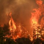 φφφ1 2 1024x683 1