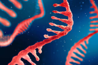 1 mRNA