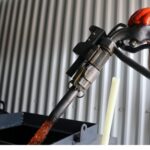 petrelaiothermansis4 scaled