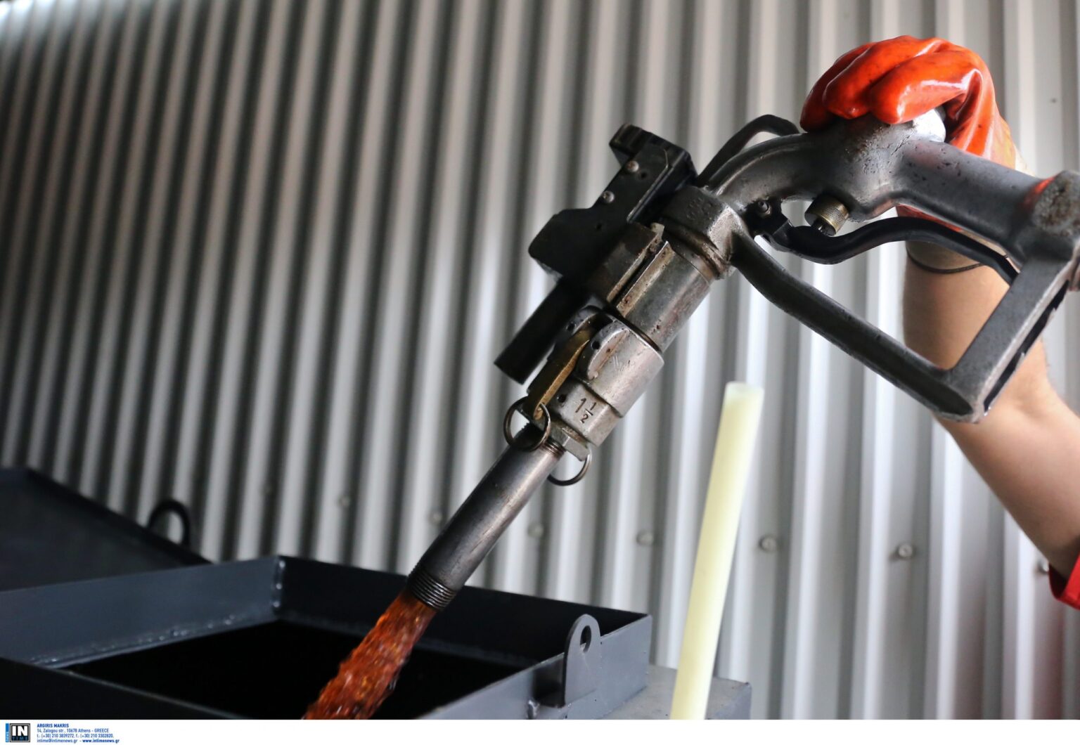 petrelaiothermansis4 scaled