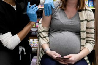 pregnant eguos 2048x1365 1