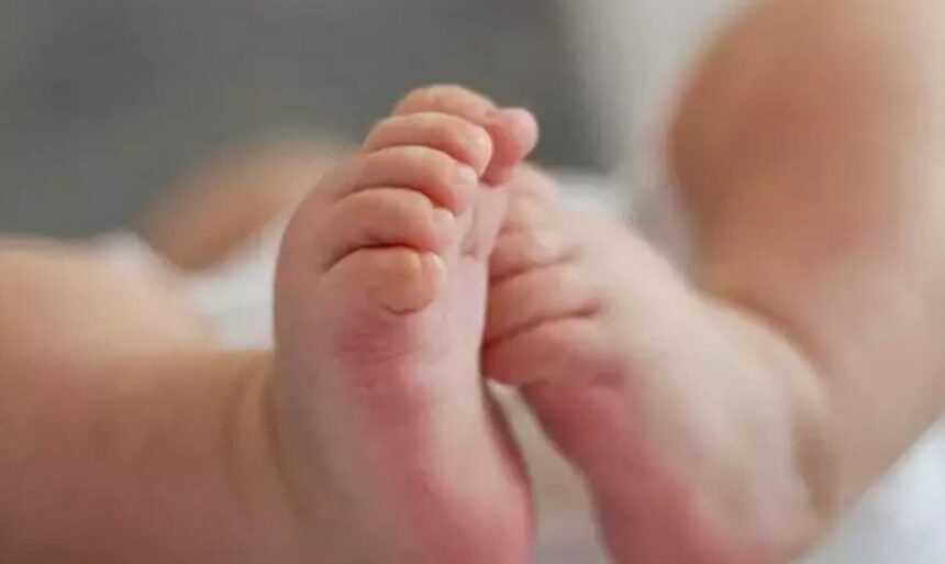 vrefos arxiki 2048x1222 1