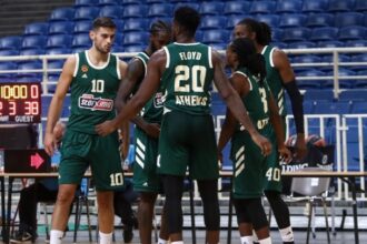 w19 221215PanathinaikosBCatfriendlygamevsApollonPatras.jfif