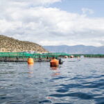 ιχυοκαλλιεργειες