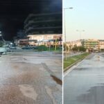 κατεγγλια134