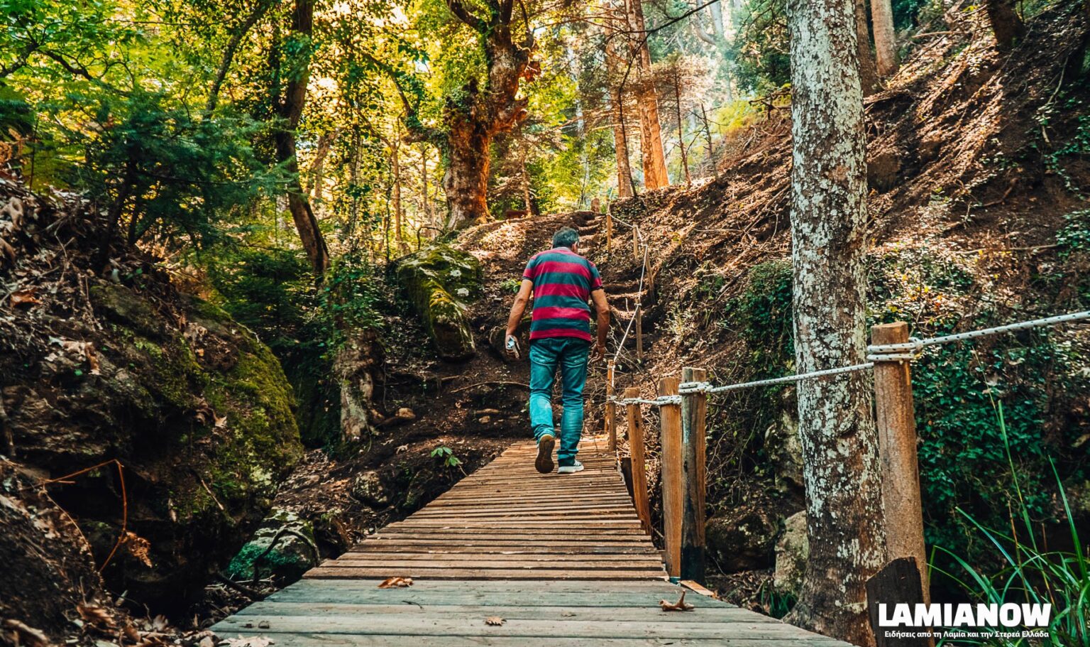 λυχνο υπατης lamianow 104