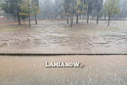 8277104 0 0 1441 907 1920x0 80 0 0 1aa16b084adc9b4d5576503ab0eaf29e