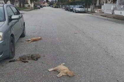 Point Blur Oct132021 195159