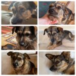 Xάθηκε η μικρή Σούζη