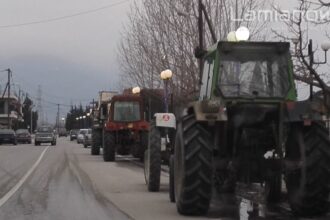 agrotes