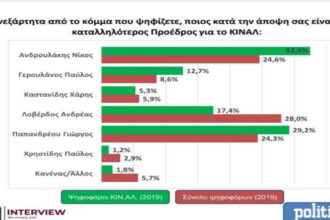 dimoskopisikinal