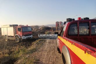 fotia bambakia1 5
