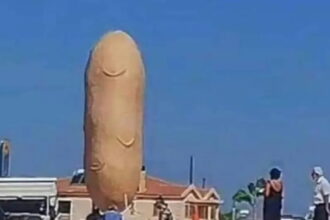 patata