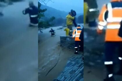 vdvdsvd 960x540 252863 280331 type13262