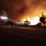 φωτια μαρτινο 10