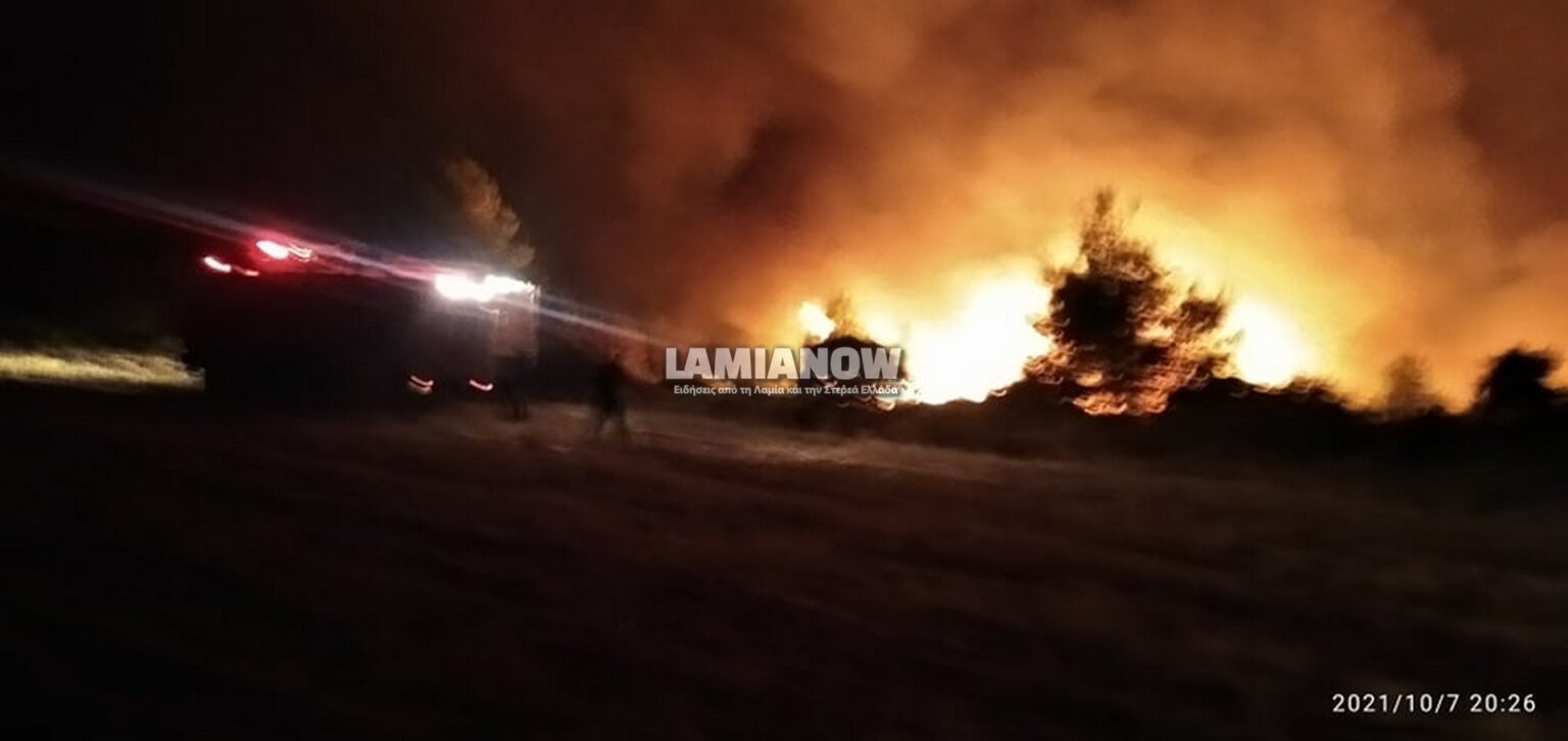 φωτια μαρτινο 10