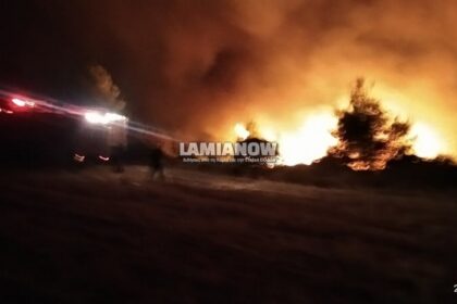 φωτια μαρτινο 10